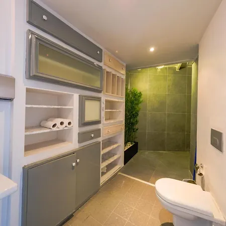 Maison Detroit Iconic 3br Triplex With Great Views *